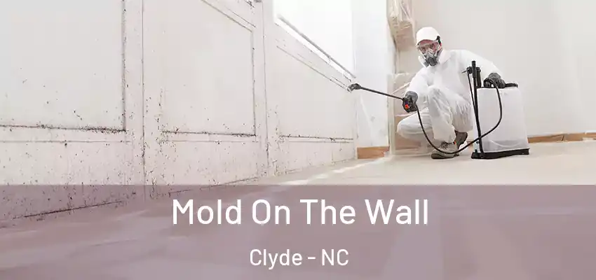  Mold On The Wall Clyde - NC