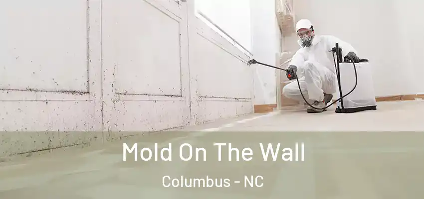  Mold On The Wall Columbus - NC
