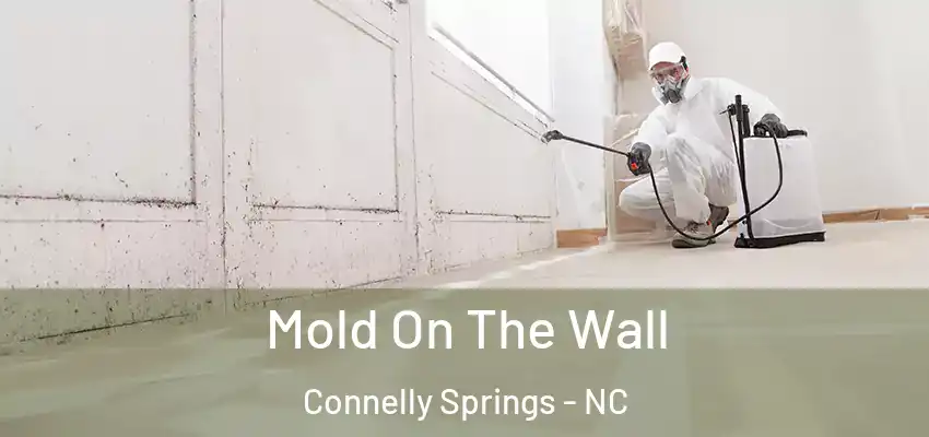  Mold On The Wall Connelly Springs - NC