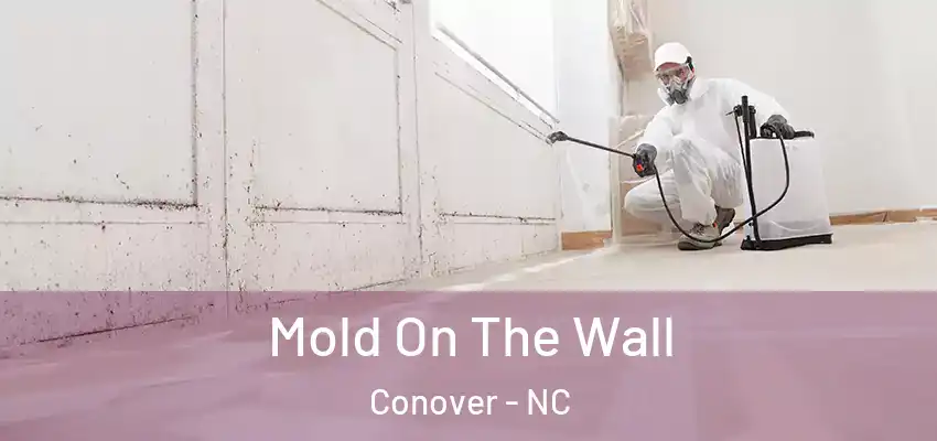 Mold On The Wall Conover - NC