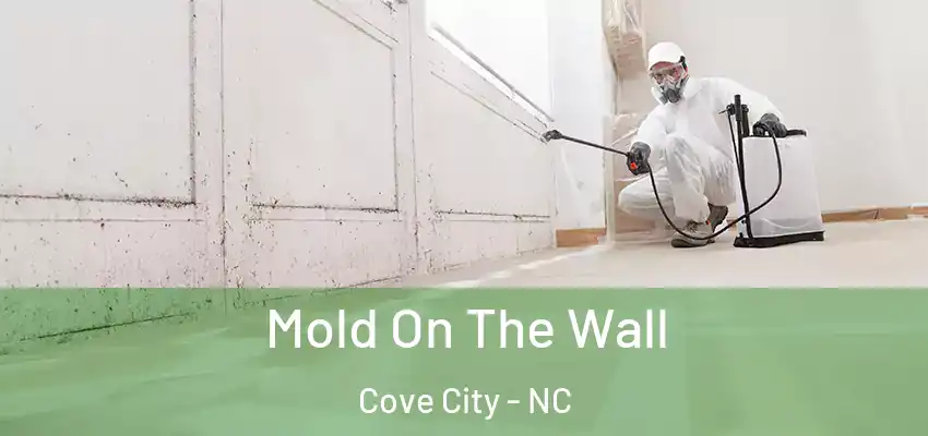 Mold On The Wall Cove City - NC