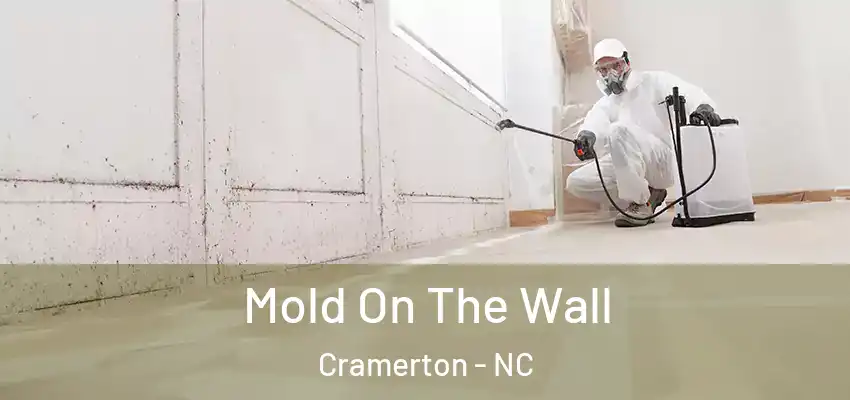  Mold On The Wall Cramerton - NC