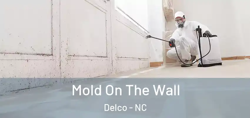  Mold On The Wall Delco - NC
