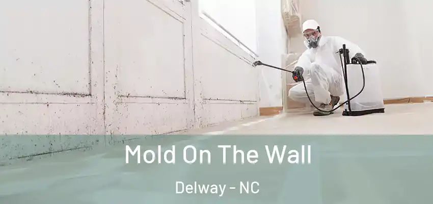  Mold On The Wall Delway - NC