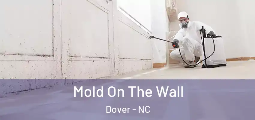  Mold On The Wall Dover - NC