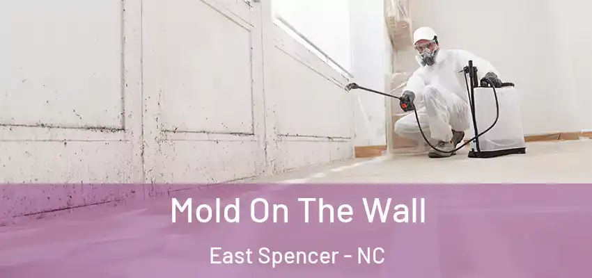  Mold On The Wall East Spencer - NC