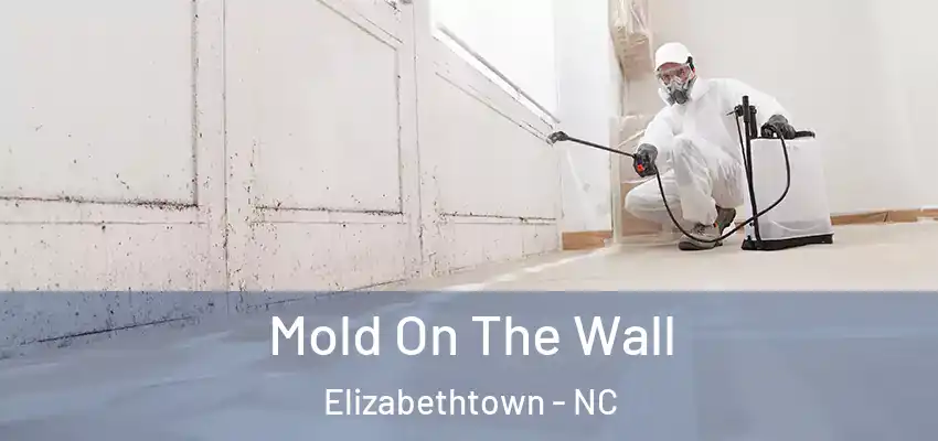  Mold On The Wall Elizabethtown - NC