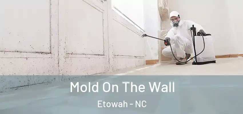  Mold On The Wall Etowah - NC