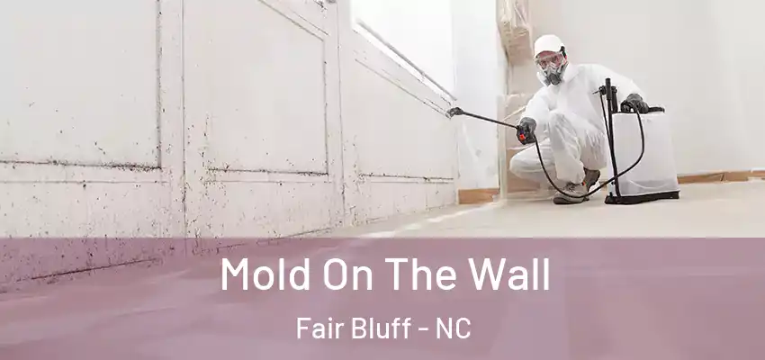 Mold On The Wall Fair Bluff - NC