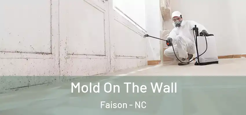  Mold On The Wall Faison - NC