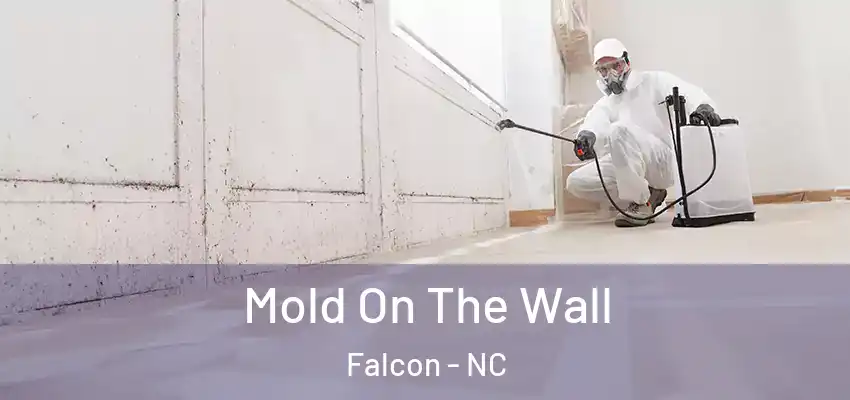 Mold On The Wall Falcon - NC
