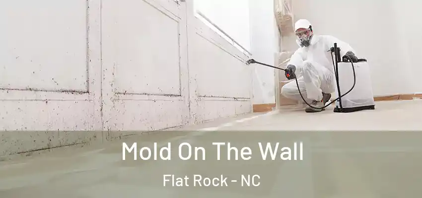 Mold On The Wall Flat Rock - NC