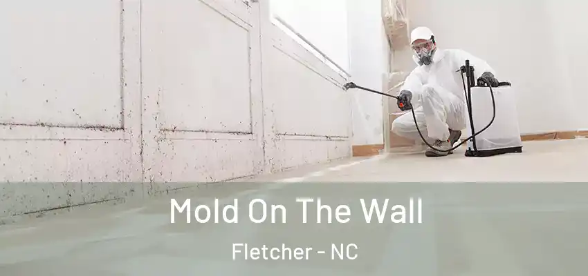  Mold On The Wall Fletcher - NC