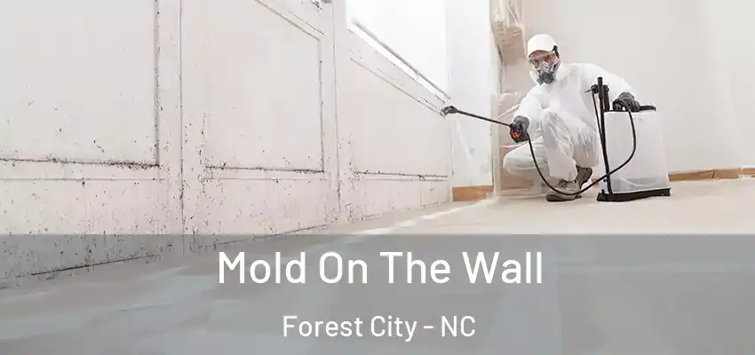  Mold On The Wall Forest City - NC