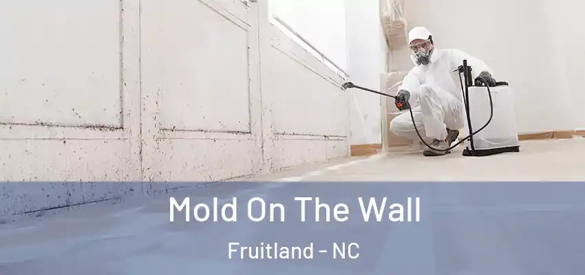  Mold On The Wall Fruitland - NC