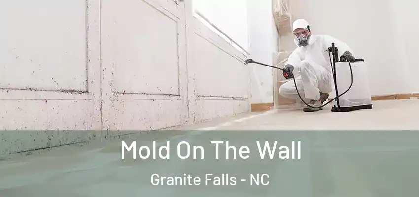 Mold On The Wall Granite Falls - NC