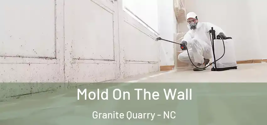  Mold On The Wall Granite Quarry - NC
