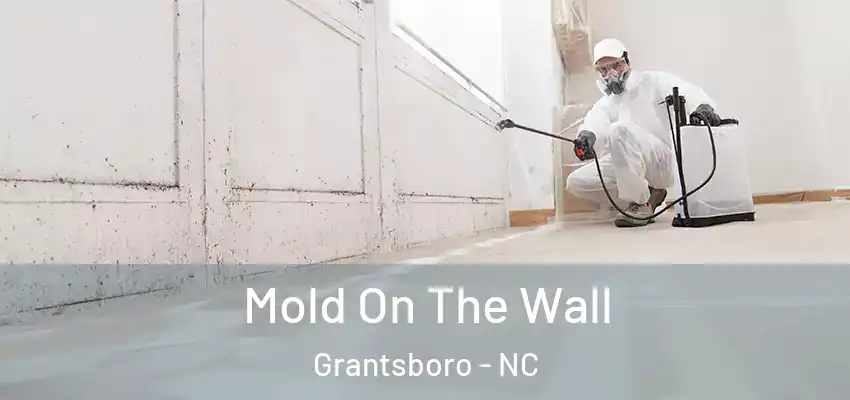 Mold On The Wall Grantsboro - NC