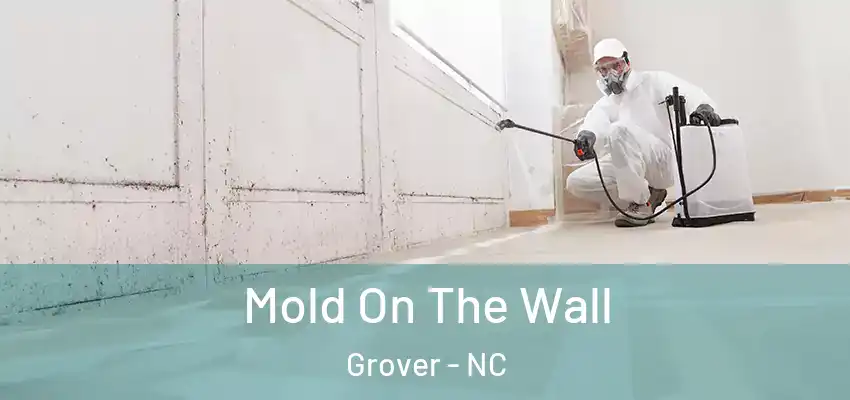 Mold On The Wall Grover - NC