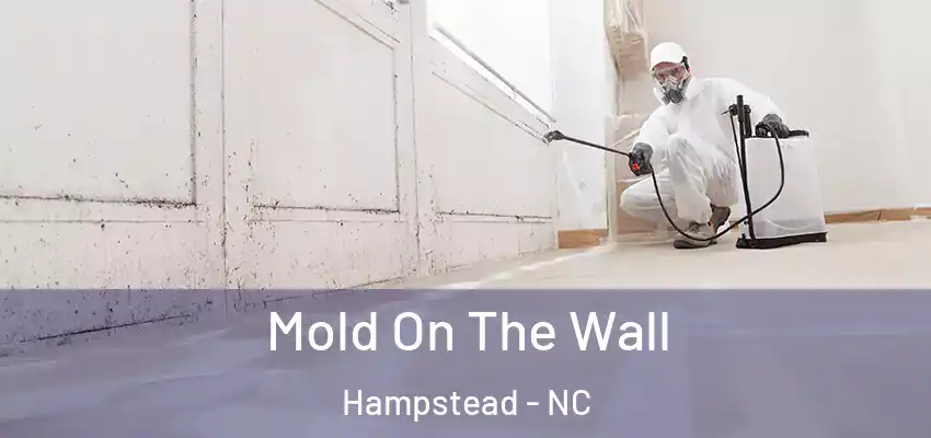 Mold On The Wall Hampstead - NC