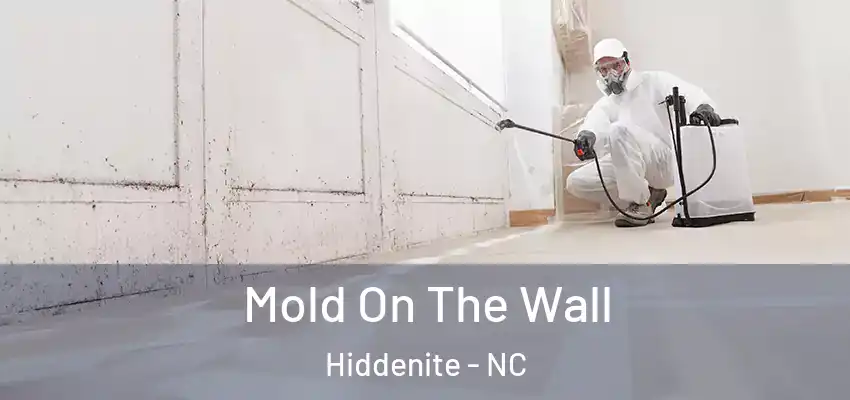  Mold On The Wall Hiddenite - NC