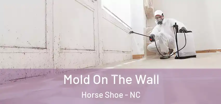 Mold On The Wall Horse Shoe - NC