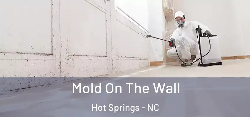  Mold On The Wall Hot Springs - NC