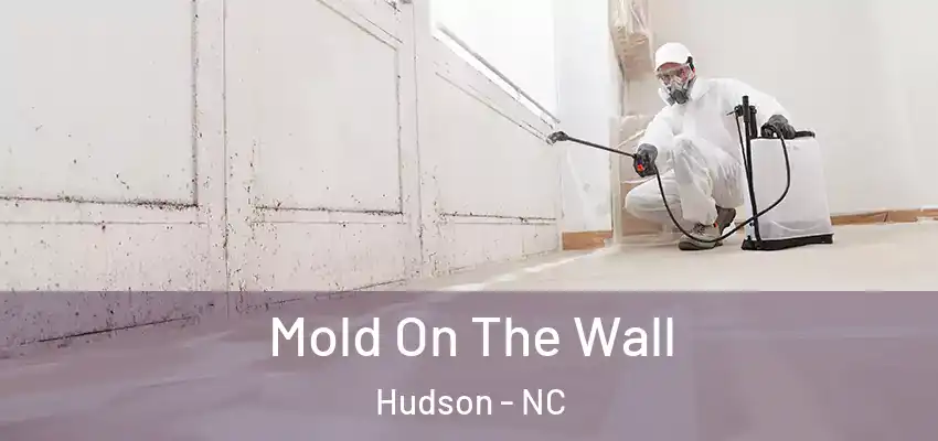  Mold On The Wall Hudson - NC