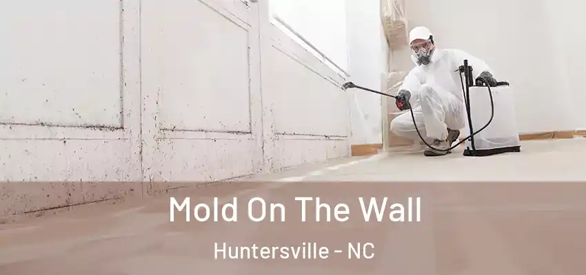  Mold On The Wall Huntersville - NC