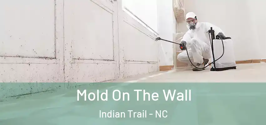  Mold On The Wall Indian Trail - NC