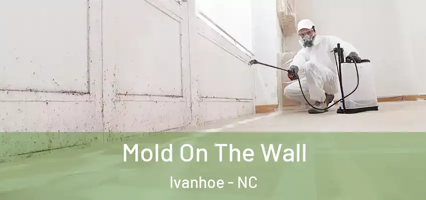  Mold On The Wall Ivanhoe - NC