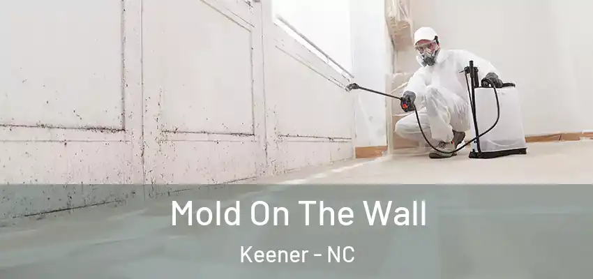  Mold On The Wall Keener - NC