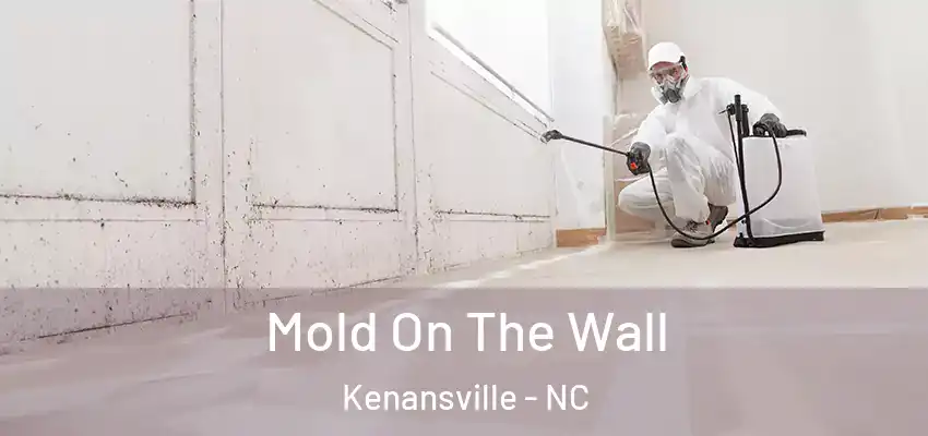  Mold On The Wall Kenansville - NC