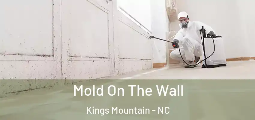  Mold On The Wall Kings Mountain - NC
