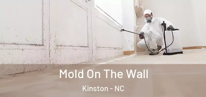  Mold On The Wall Kinston - NC