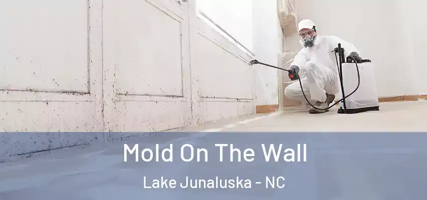  Mold On The Wall Lake Junaluska - NC