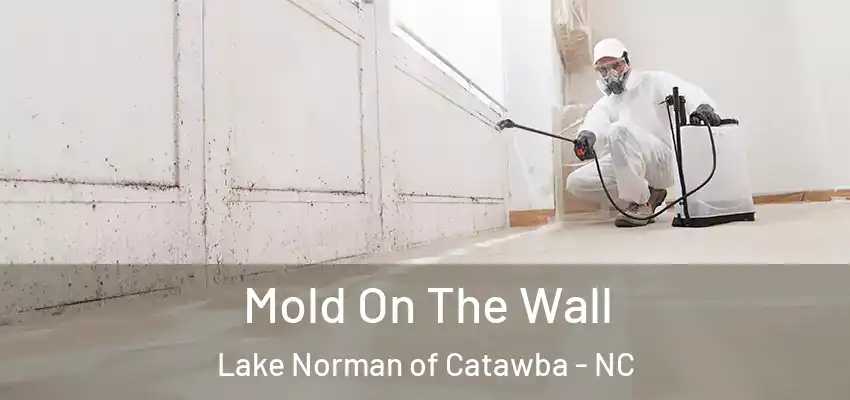  Mold On The Wall Lake Norman of Catawba - NC