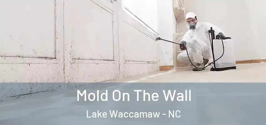  Mold On The Wall Lake Waccamaw - NC