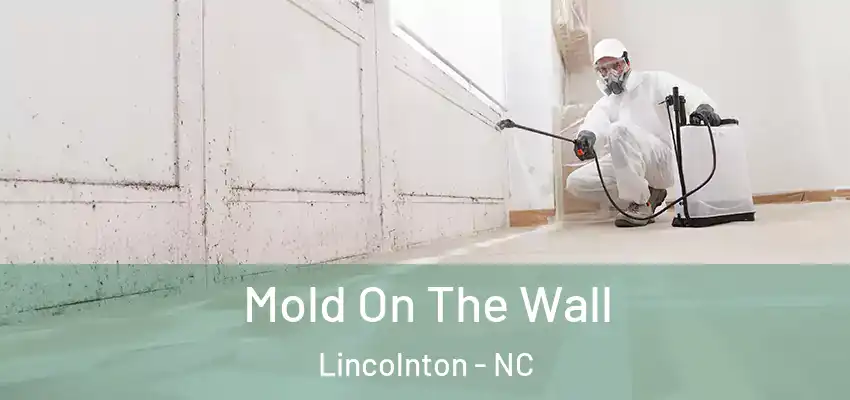 Mold On The Wall Lincolnton - NC