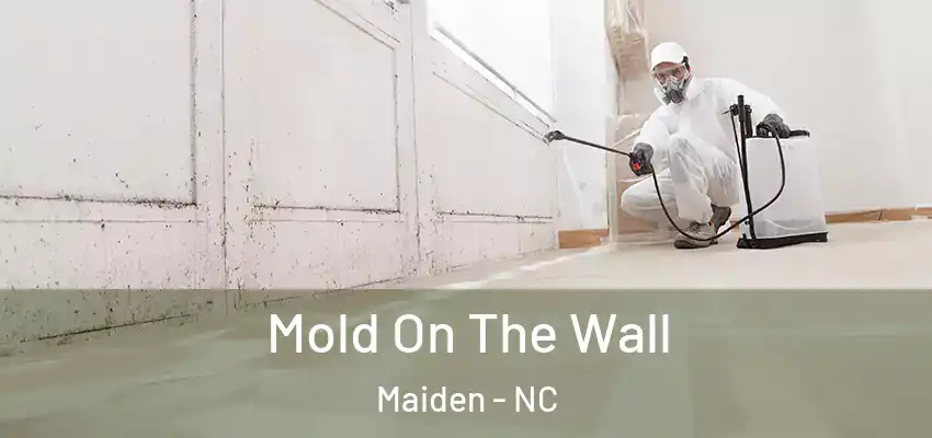  Mold On The Wall Maiden - NC