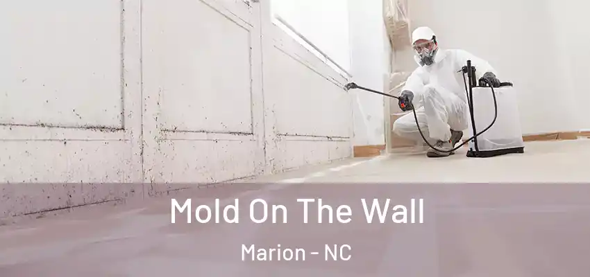  Mold On The Wall Marion - NC