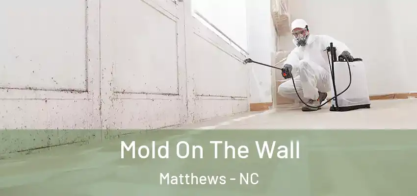Mold On The Wall Matthews - NC