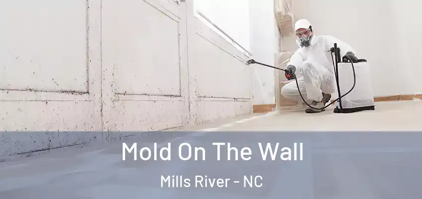  Mold On The Wall Mills River - NC