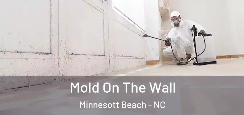  Mold On The Wall Minnesott Beach - NC