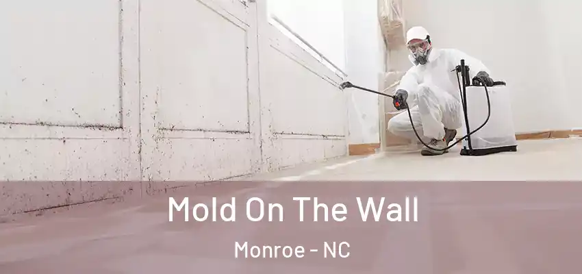  Mold On The Wall Monroe - NC