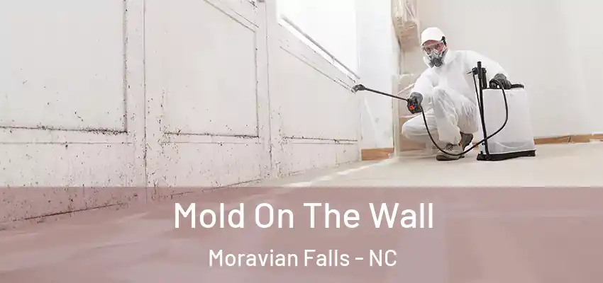 Mold On The Wall Moravian Falls - NC