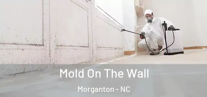  Mold On The Wall Morganton - NC