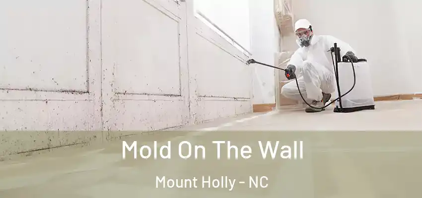 Mold On The Wall Mount Holly - NC