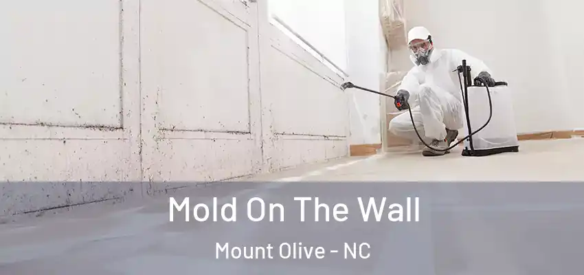 Mold On The Wall Mount Olive - NC