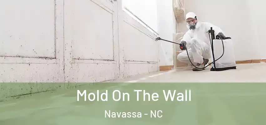 Mold On The Wall Navassa - NC